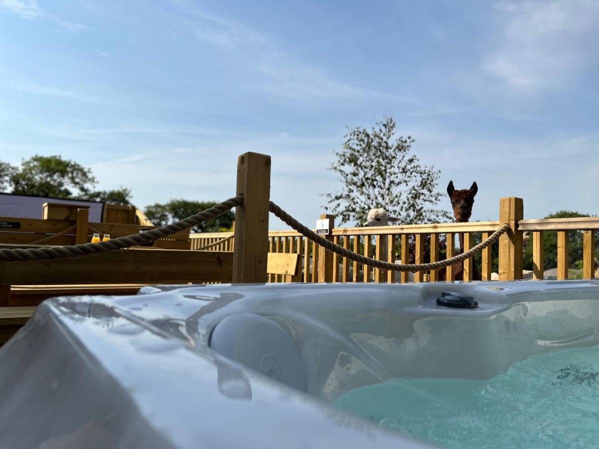טנבי Jungle Book Safari Tent מראה חיצוני תמונה