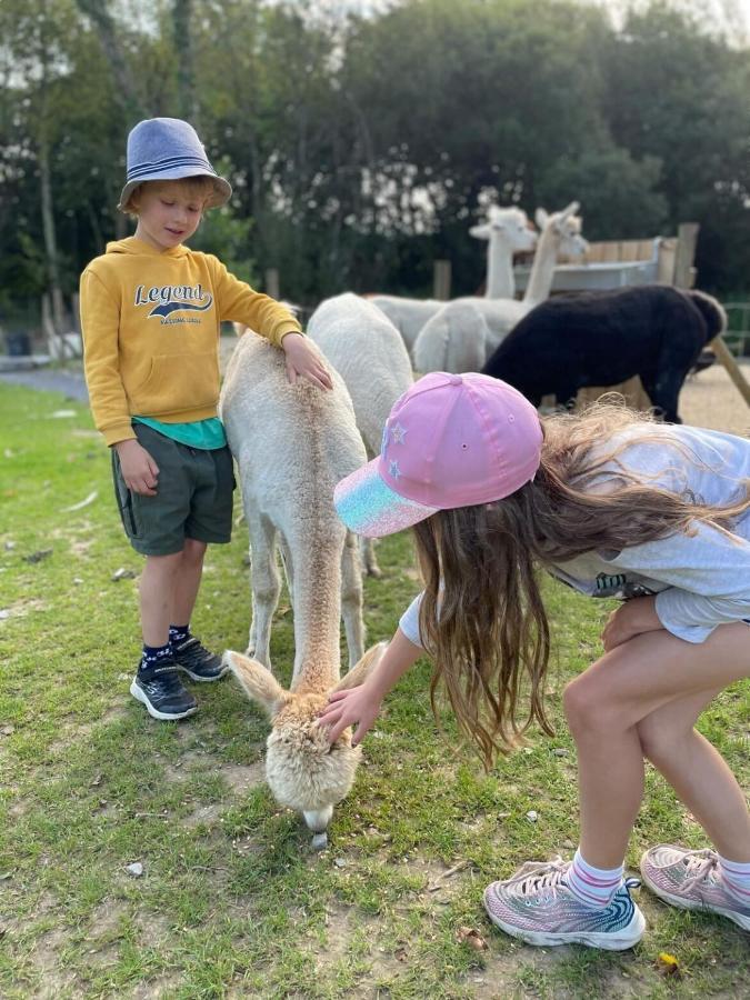 טנבי Jungle Book Safari Tent מראה חיצוני תמונה