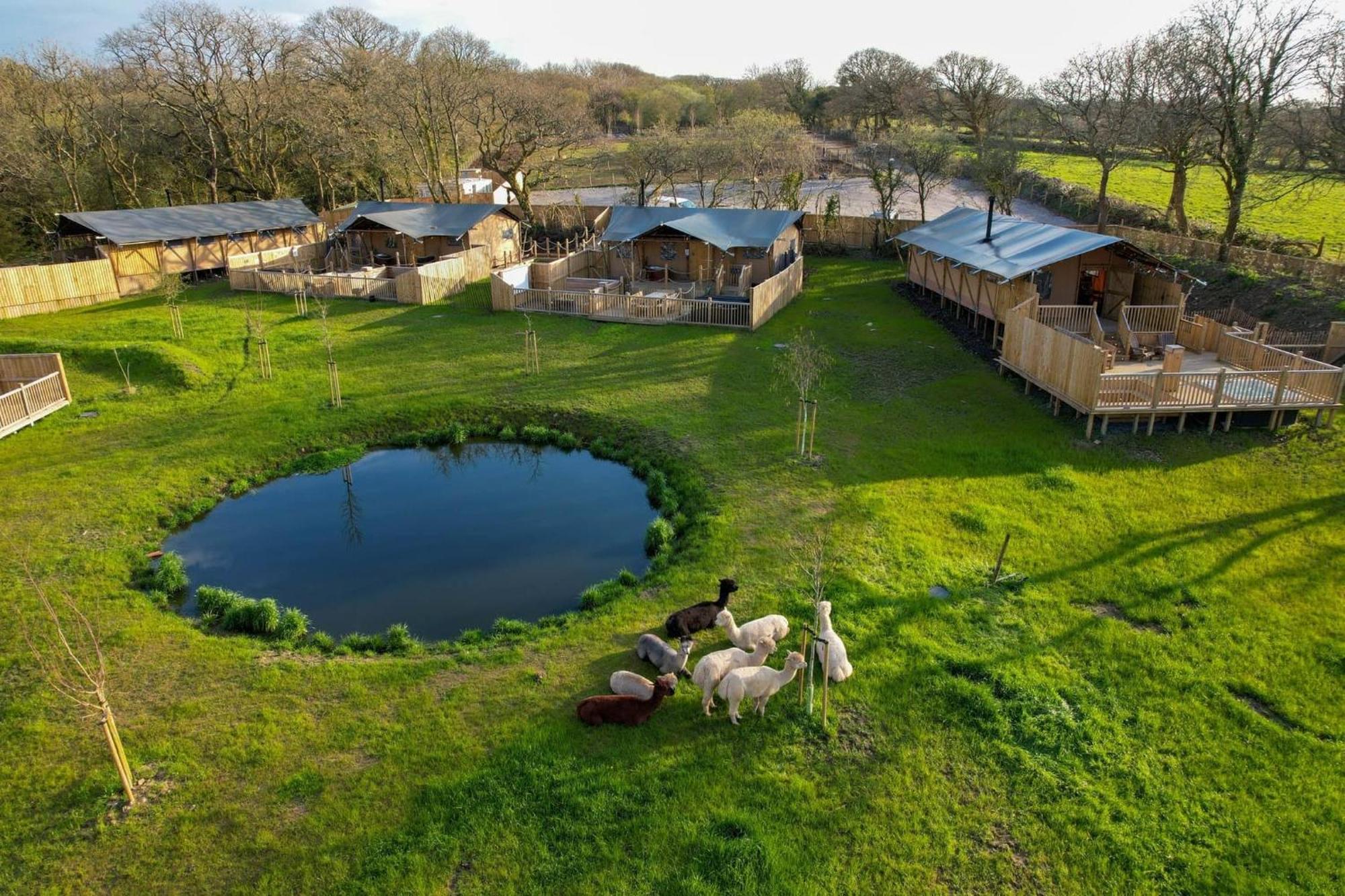 טנבי Jungle Book Safari Tent מראה חיצוני תמונה